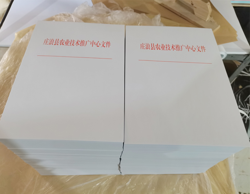 镇原文头纸